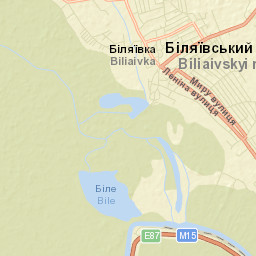 Bilyayivka Street Map
