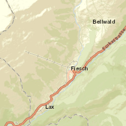 Fiesch Street Map