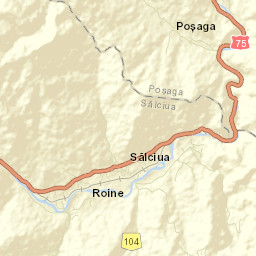 Sălciua de Sus Street Map