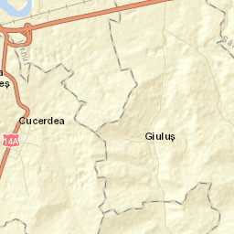Giuluș Street Map