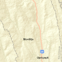 Răchitoasa Street Map