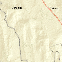 Puieşti Street Map