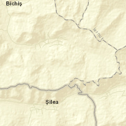 Bichiș Street Map