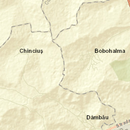 Chinciuș Street Map