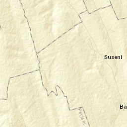 Băcani Street Map