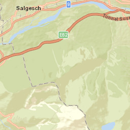 Salgesch Street Map