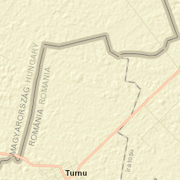 Turnu Street Map