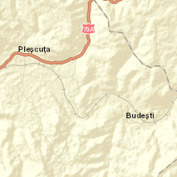 Pleşcuţa Street Map