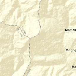 Poienile-Mogoş Street Map