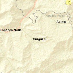 Lopadea Nouă Street Map