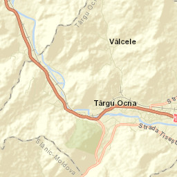 Oraş Târgu Ocna Street Map