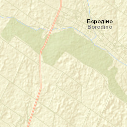 Borodino Street Map