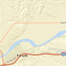 Forsyth Street Map