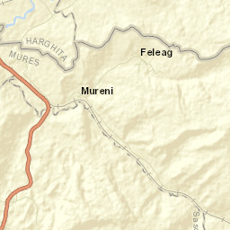 Mureni Street Map
