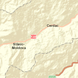 Oraş Slãnic-Moldova Street Map
