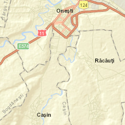 Municipiul Oneşti Street Map