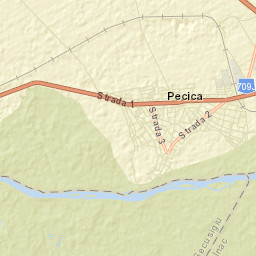 Pecica Street Map