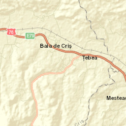 Baia de Criş Street Map