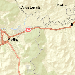 Brateiu Street Map