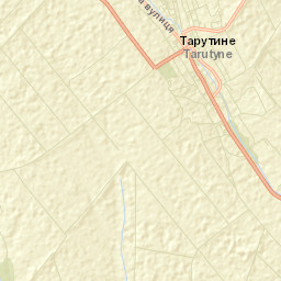 Tarutyne Street Map