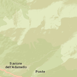 Saviore Street Map