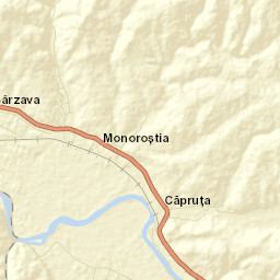 Bârzava Street Map