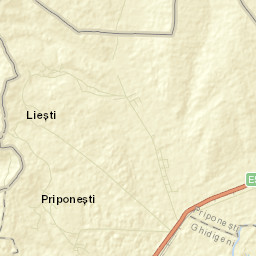 Priponeşti Street Map