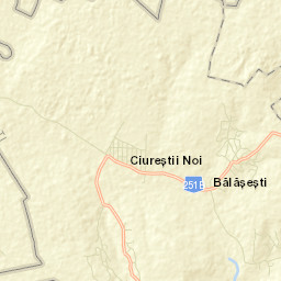 Bălăşeşti Street Map