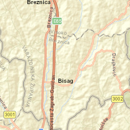 Breznica Street Map