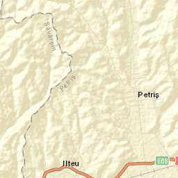 Petriş Street Map