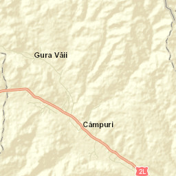 Câmpuri Street Map