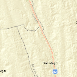 Balintești Street Map