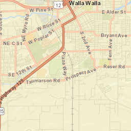 College Place Street Map
