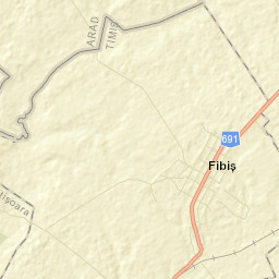Fibiș Street Map