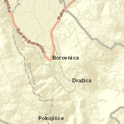 Borovnica Street Map