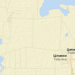 Tselinnoye Street Map