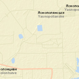 Yasnopolyanskoye Street Map