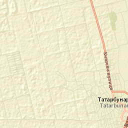 Tatarbunary Street Map