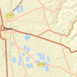 Feurs Street Map