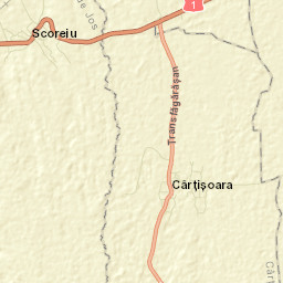 Cârţişoara Street Map