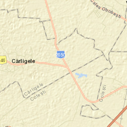 Cârligele Street Map
