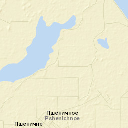 Pshenichnoye Street Map