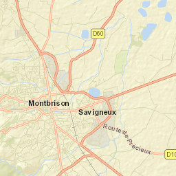 Montbrison Street Map