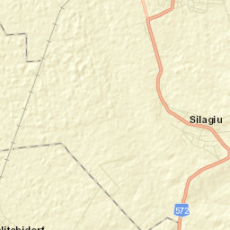 Oraş Buziaş Street Map