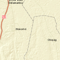 Victor Vlad Delamarina Street Map