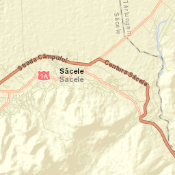 Municipiul Sãcele Street Map