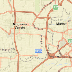 Mogliano Veneto Street Map