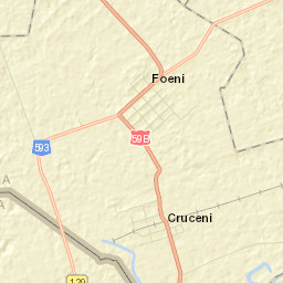Foeni Street Map