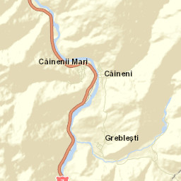 Câinenii Mici Street Map