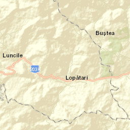 Lopătari Street Map